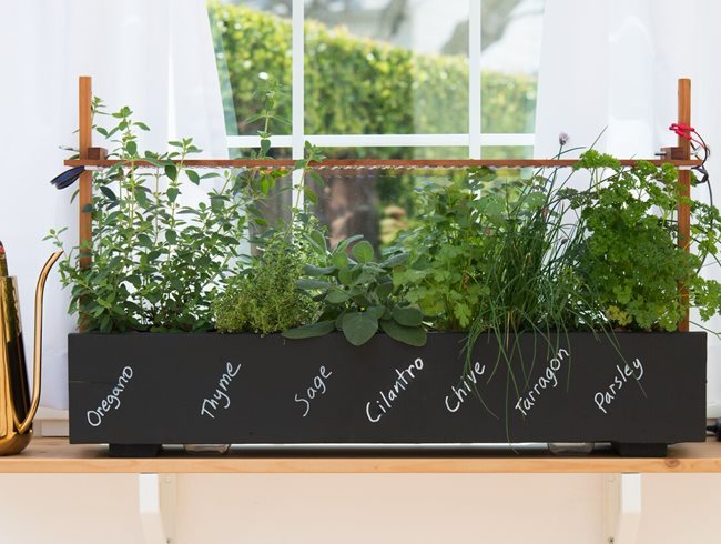Window Box, Herbs, Chalkboard
Garden Design
Calimesa, CA