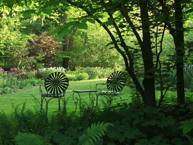 Woodland Garden, Sitting Garden
Rick Darke LLC
Landenberg, PA