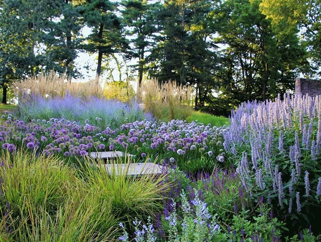Allium Path
Small Garden Pictures
Donald Pell Landscape Design
Phoenixville, PA