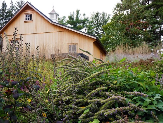 Garage Garden
Small Garden Pictures
Donald Pell Landscape Design
Phoenixville, PA