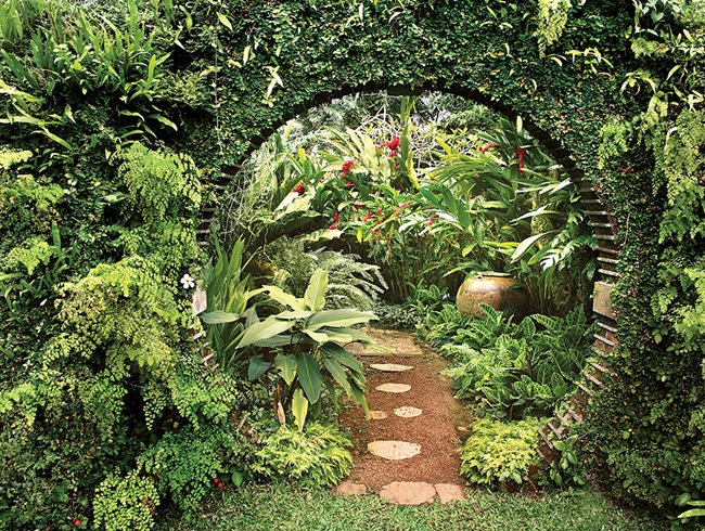 The Tropical Garden Reinvented Garden Design