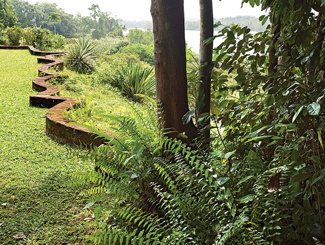 Garden Sri Lanka | derrickandmelisa