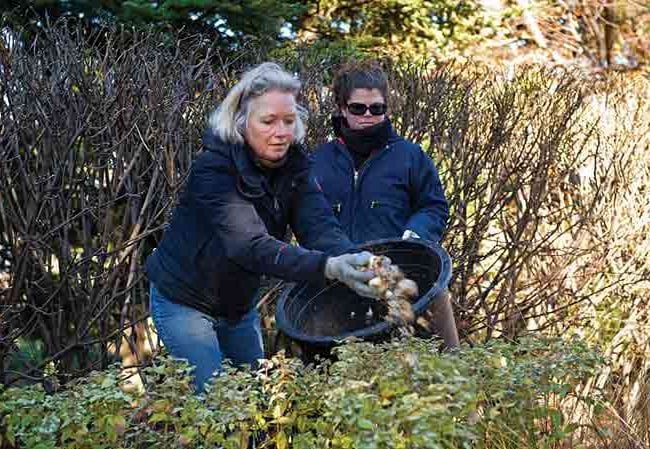 The Craft of Interplanting with Jacqueline van der Kloet, Slide Show
Garden Design
Calimesa, CA