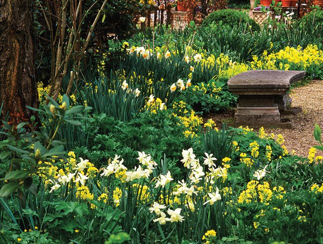 The Craft of Interplanting with Jacqueline van der Kloet, Slide Show
Garden Design
Calimesa, CA