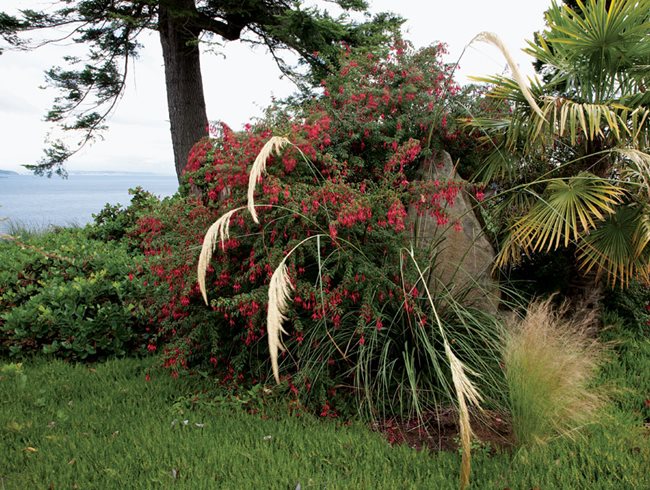 The Plant Hunter's Retreat, Photo Gallery
Garden Design
Calimesa, CA
