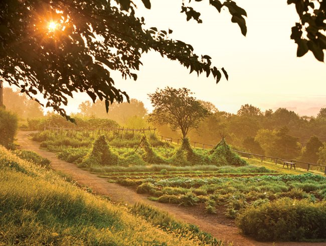 Thomas Jefferson 's Monticello, Galerie foto MonticelloCharlottesville, VA