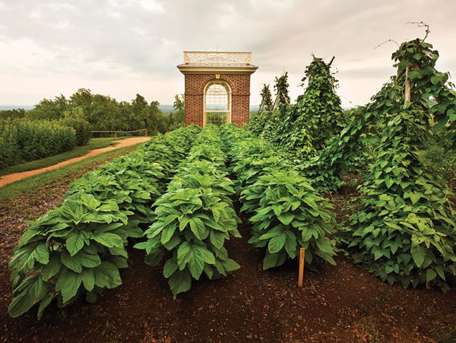 Monticello Thomase Jeffersona, Fotogalerie MonticelloCharlottesville, VA