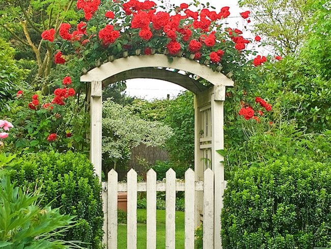 Rose-Covered Gate  Garden Design  Calimesa, CA