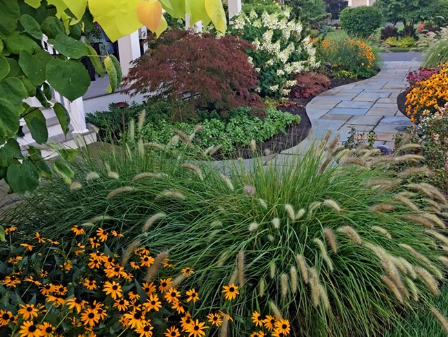 Entry Garden
Morty Bachar / Patty Storms
Lewes, DE