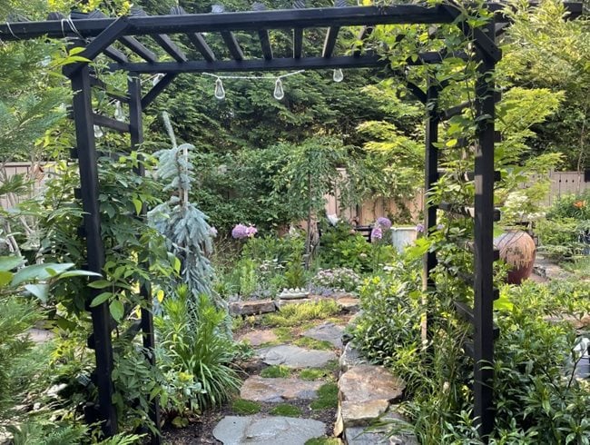 Pathway Arbor
Alli Guleria
Washington D.C.,