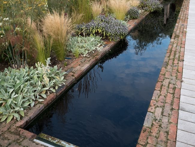 Reflection Pool, Herbaceous Border Garden Design Calimesa, CA