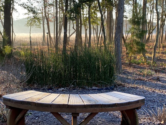 Garden Bench
Morty Bachar / Patty Storms
Lewes, DE