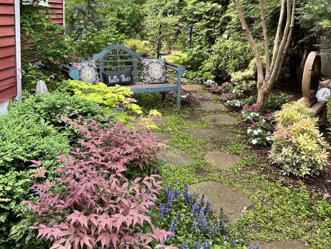 Side Yard With Bench
Alli Guleria
Washington D.C.,