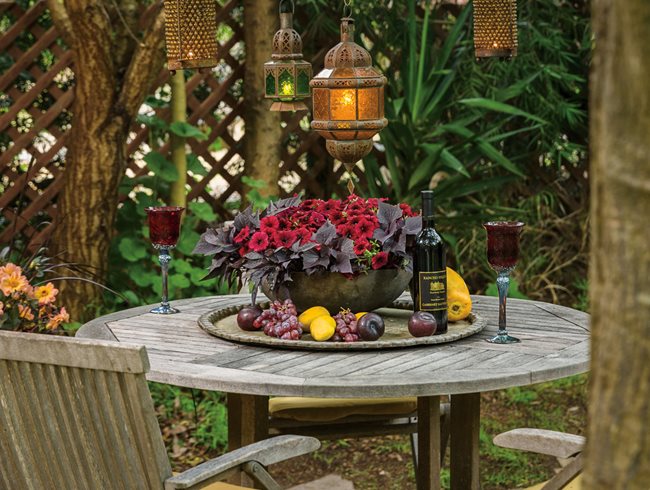 10 Tropical Garden Ideas for a Resort-Like Landscape | Garden Design