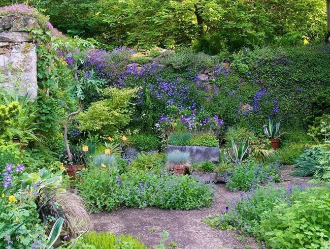 Brandywine Cottage Ruin Garden
Garden Design
Calimesa, CA