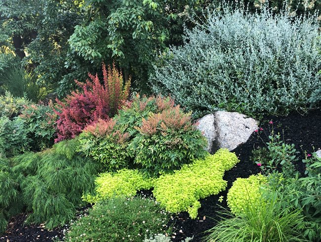 Foliage garden shop
