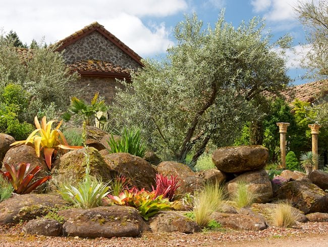 Drought Tolerant Rock Garden, Rock Garden With Tree
Garden Design
Calimesa, CA