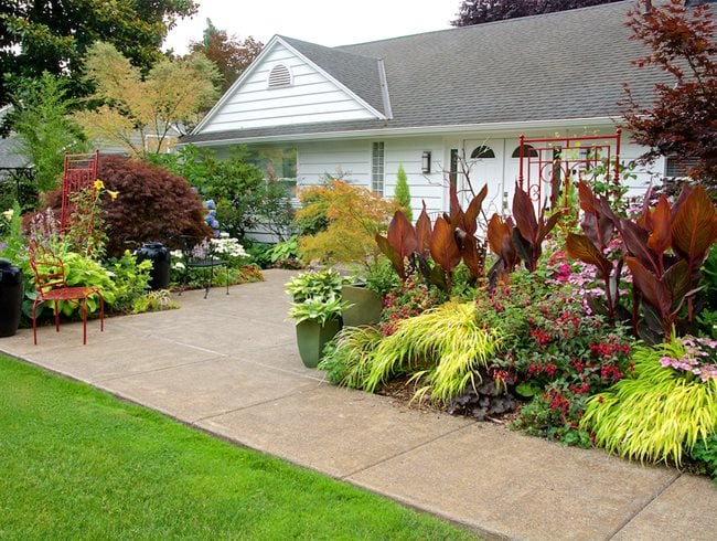 Front Landscape With Cannas And Japanese Forest Grass Garden Design Calimesa, CA