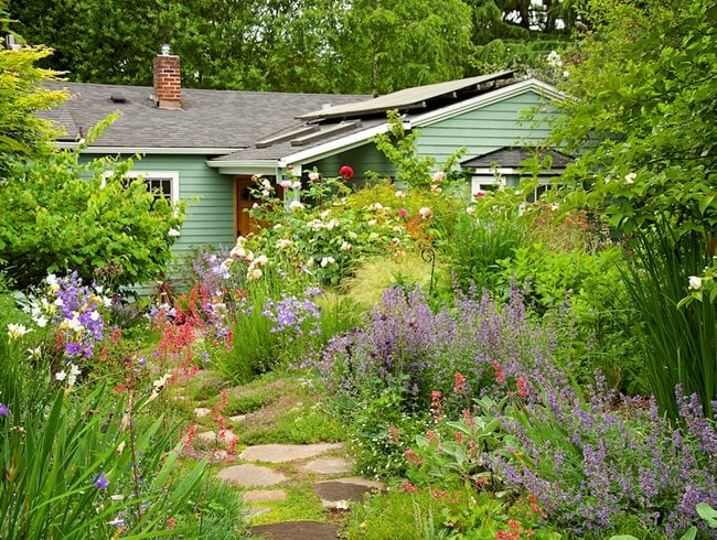 Front Yard Meadow Garden Garden Design Calimesa, CA