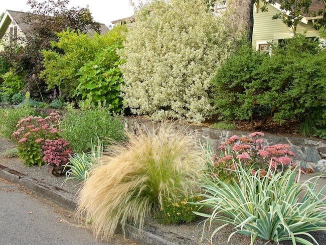 Layered Landscape Barrier, Shrubs And Perennial Plants
Garden Design
Calimesa, CA