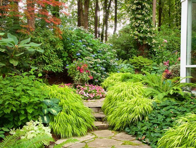 Shade Gardens: Ideas, Design & Inspiration