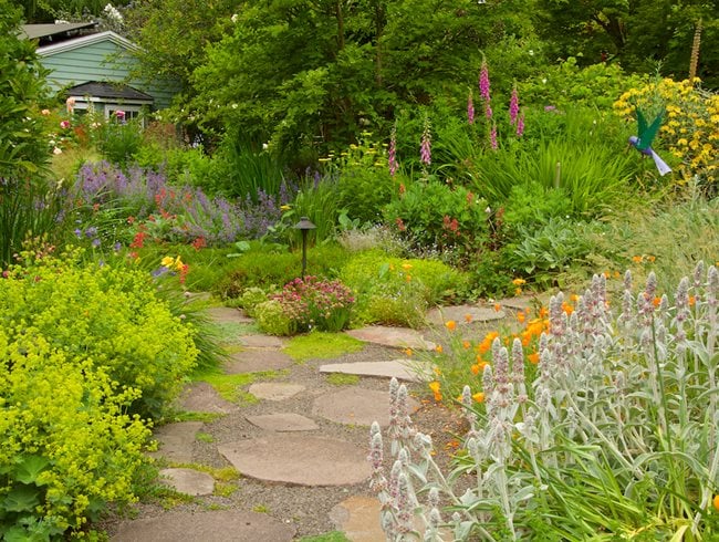 Garden path showing natural traffic flow between areas