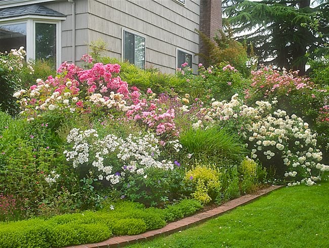 Mixed Garden On Side Of House  Garden Design  Calimesa, CA