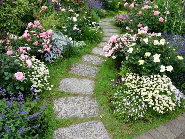 Rose Garden Ideas How To Design With, How To Design A Rose Garden Plan
