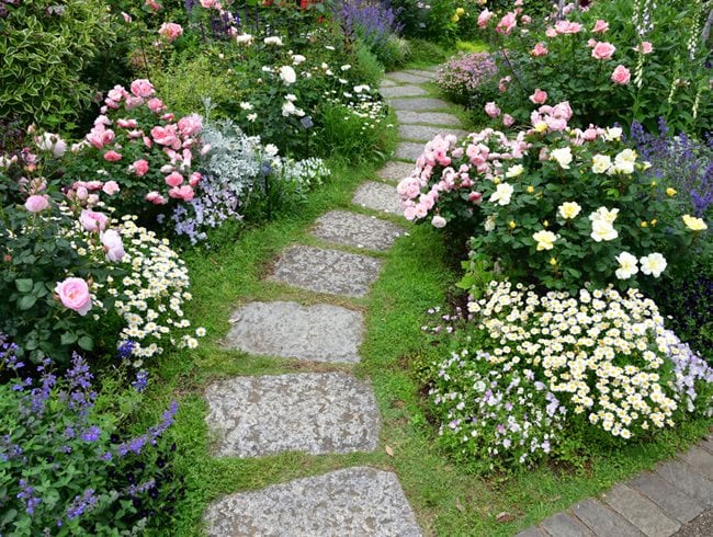 Rose Garden Path  Shutterstock.com  New York, NY