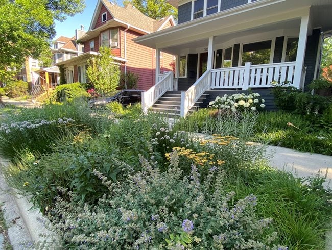 Sidewalk Garden In Chicago
Fieldwork Design Group
IL