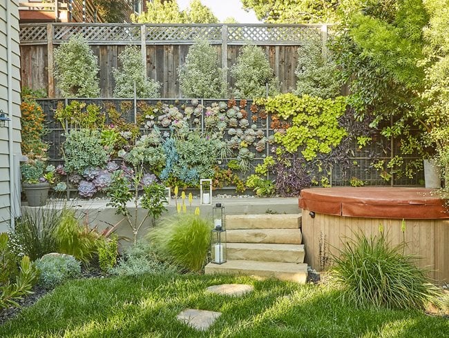 Vertical gardens with climbing plants