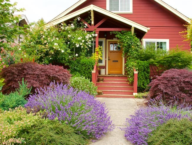 Front sales yard plant
