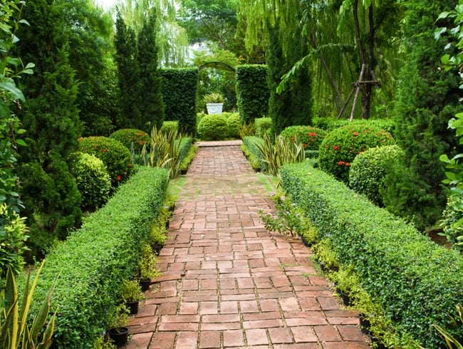 Boxwood Edged Pathway
Shutterstock.com
New York, NY