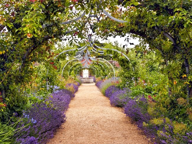 English Garden Path With Lavender
Shutterstock.com
New York, NY