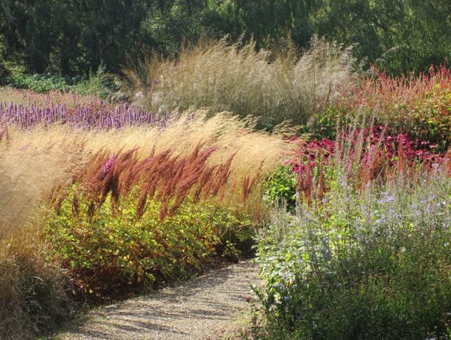 Grass Garden In Fall
Shutterstock.com
New York, NY