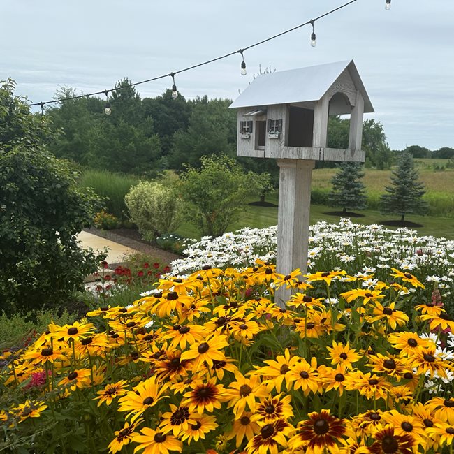 Birdhouse In Garden
"Dream Team's" Portland Garden
Garden Design
Calimesa, CA