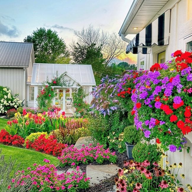 Colorful Window Box Gardens
"Dream Team's" Portland Garden
Garden Design
Calimesa, CA