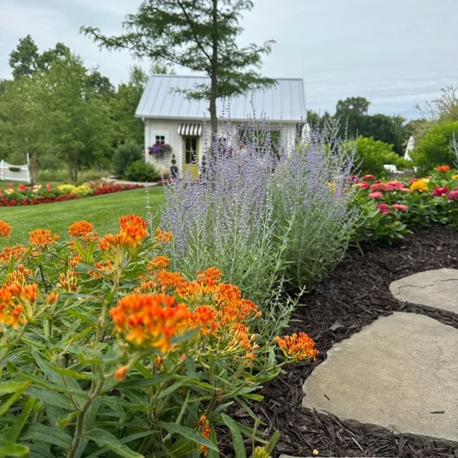 Garden Path
"Dream Team's" Portland Garden
Garden Design
Calimesa, CA