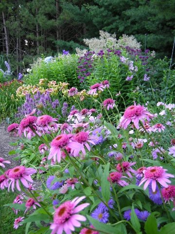 A Rustic Perennial Paradise - Gallery Garden Design