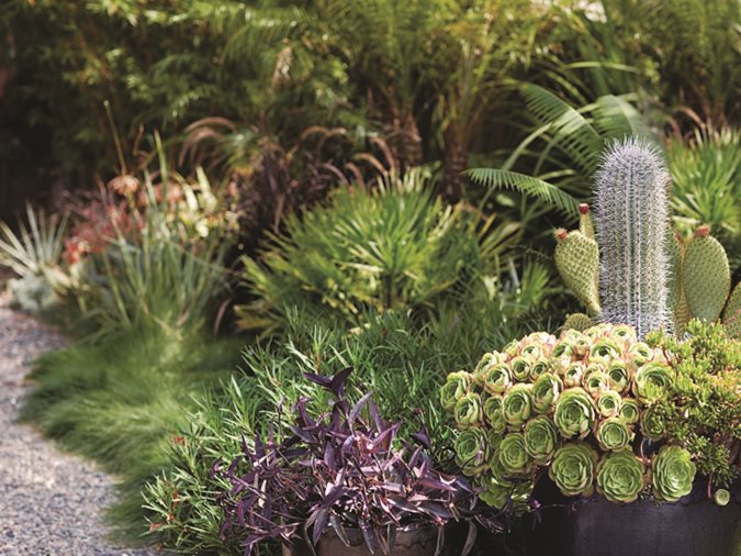 California Dreaming: a Davis Dalbok garden
Garden Design
Calimesa, CA
