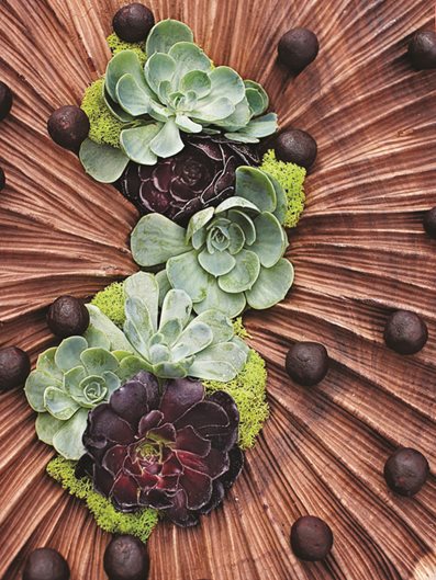 California Dreaming: a Davis Dalbok garden
Garden Design
Calimesa, CA