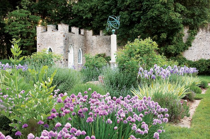 Top    Allium Bulbs for the Perennial Border | Garden Design