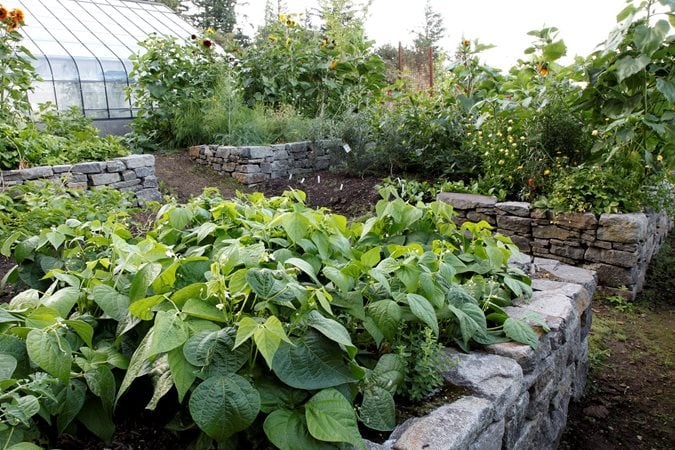 Raised Bed Garden Design How To Layout Build Garden Design