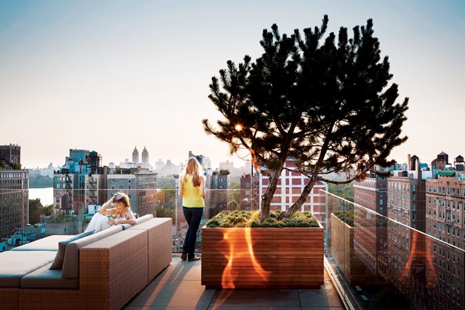 Landscaping Roof Terraces - Gallery | Garden Design
