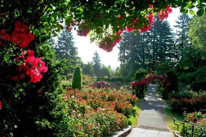 International Rose Test Garden of Portland