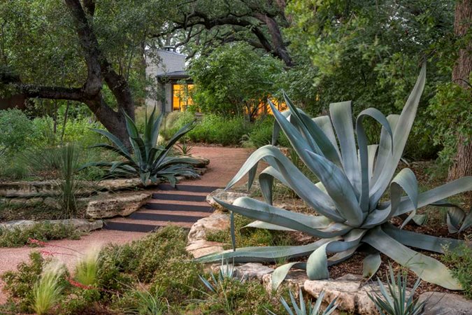 East Texas Landscaping Ideas Related Keywords &amp; Suggestions - East 