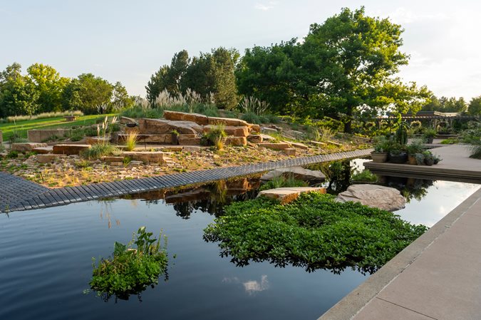 Denver Botanic Gardens Restaurant / Chihuly Exhibit At The Denver