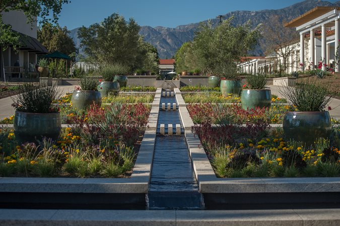 5 Surprises at The Huntington | Garden Design