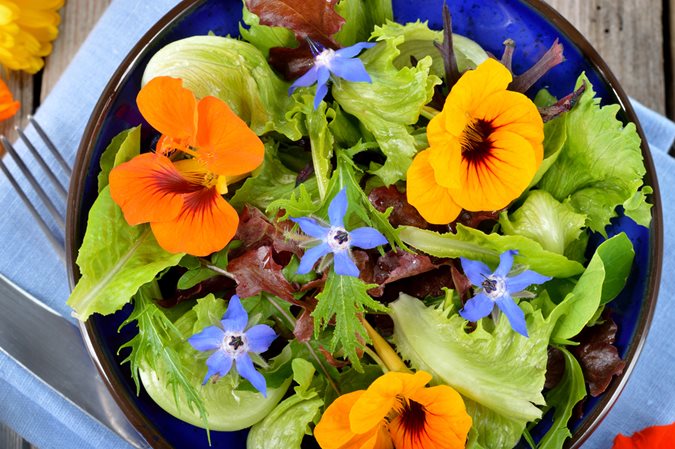 Top 10 edible flowers  Edible flower garden, Edible flowers