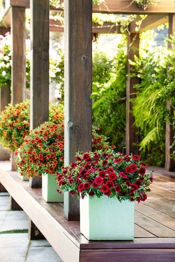 16 Container Gardening Ideas - Potted Plant Ideas We Love